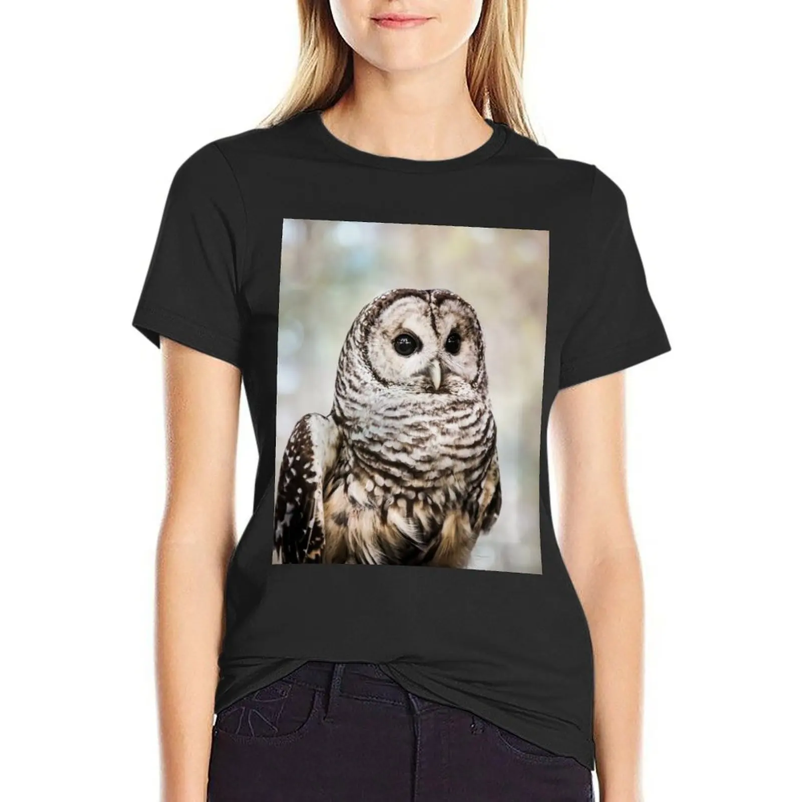 Barred Owl T-Shirt cute clothes anime clothes Female clothing aesthetic clothes plain t shirts for Women