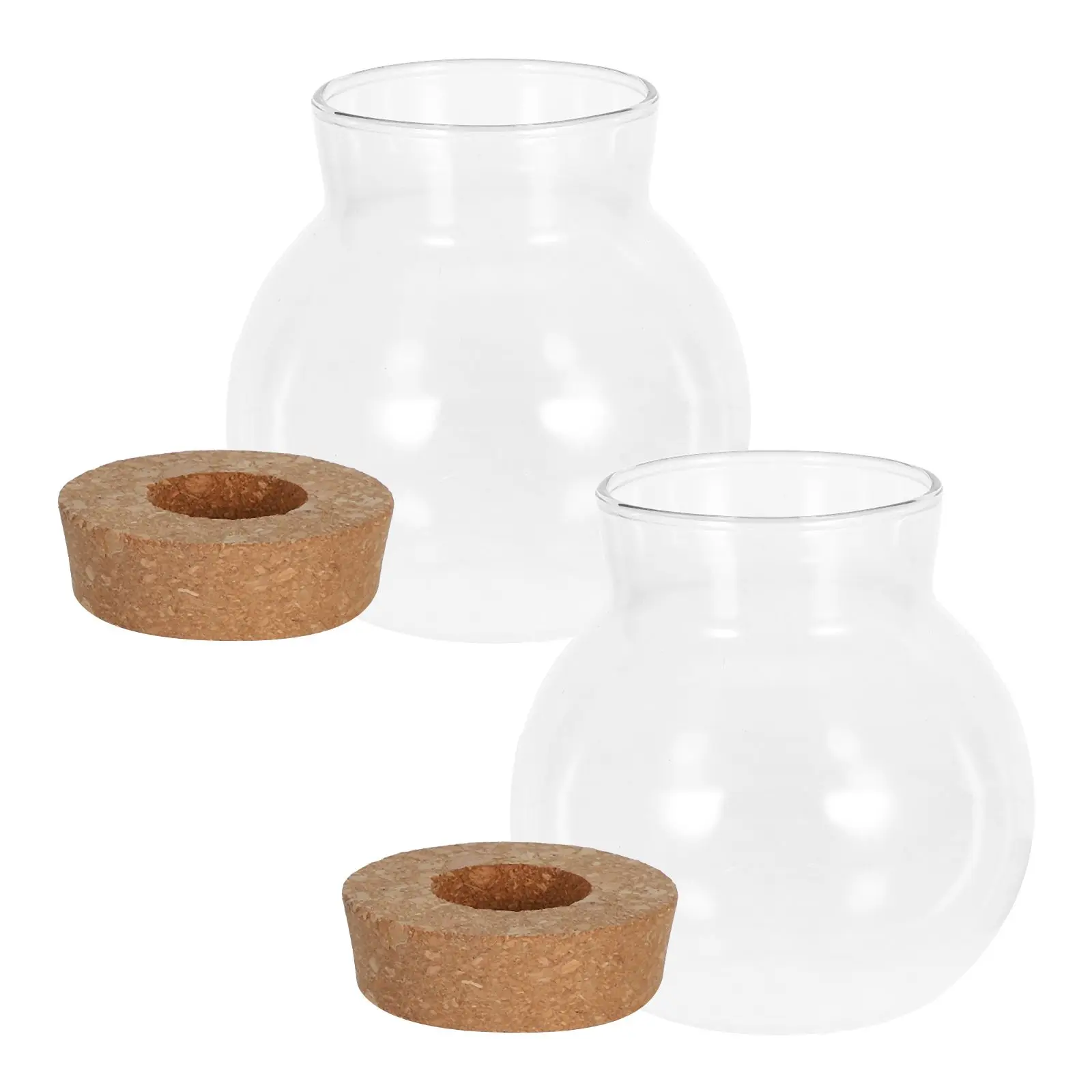 

2Pcs Glass Hydroponic Plant Terrarium Container Clear Desktop Propagation Station Eco Bottle Planter Jar Hydroponics Vase
