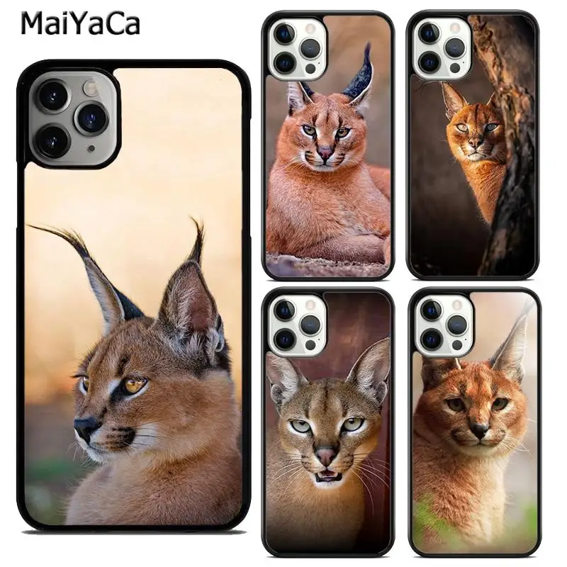 MaiYaCa African Lynx Caracal Big Cat Phone Case Cover For iPhone 16 15 SE2020 6s 7 8 plus 11 12 mini 13 14 pro max  coque