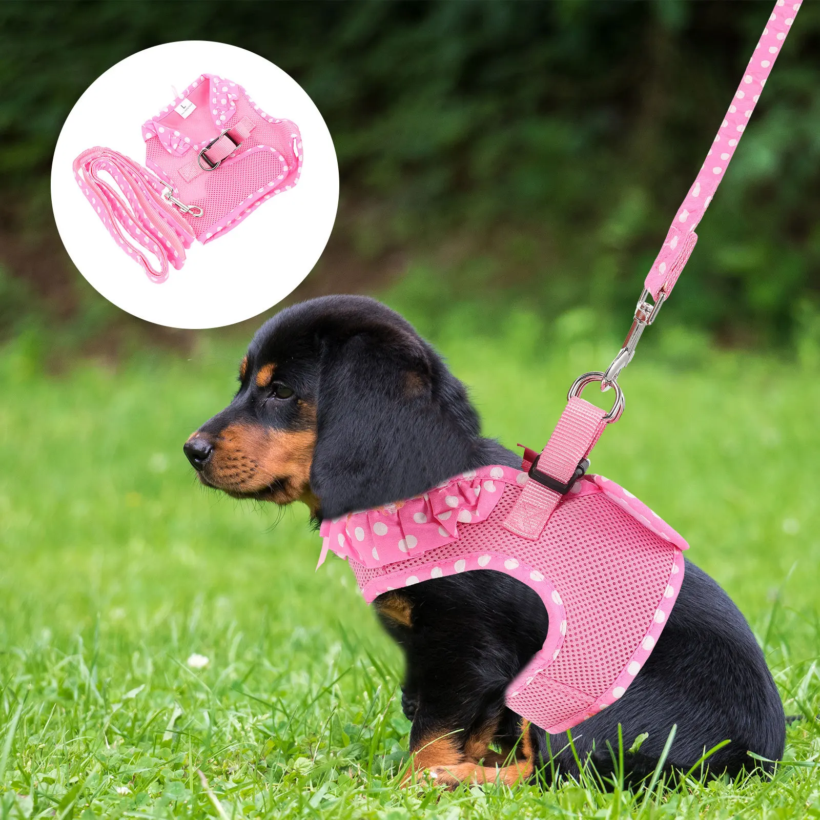 

1Set Durable Pet Harness Leash Adjustable Chest Strap Comfortable Outdoor Walking Cat Dog Leash Adorable Dog Costume