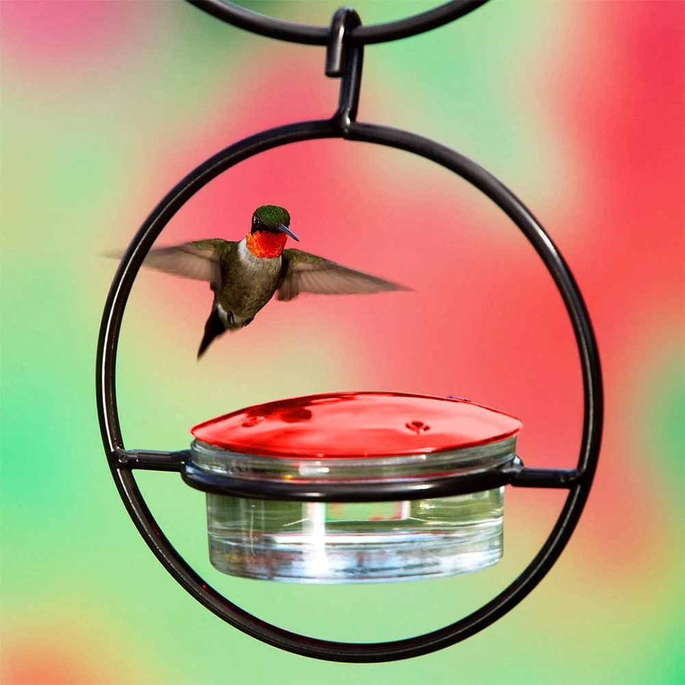 Ant-Proof Hummingbird Feeder 3