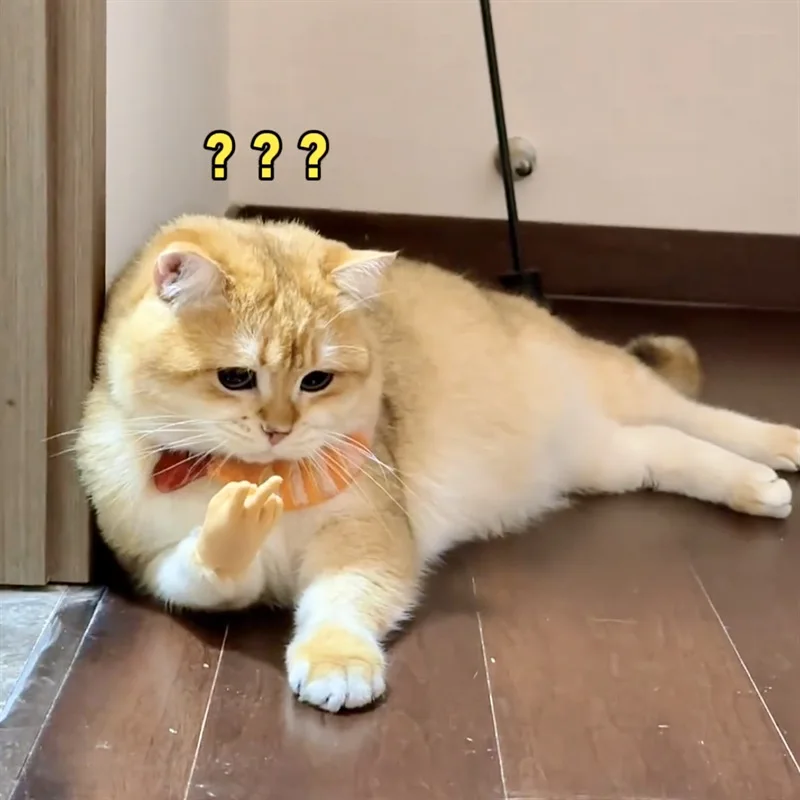 2Pcs Creative Funny Cats Toy Pet Massage Tease Cat Mini Hand Creative Finger Set Palm-shaped Small Hand Stroking Gloves Supplies