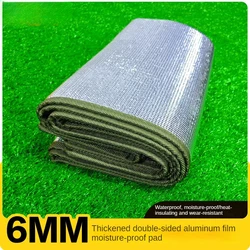 Outdoor camping mat, thickened double-sided aluminum film moisture-proof mat, cooling beach blanket, picnic mat