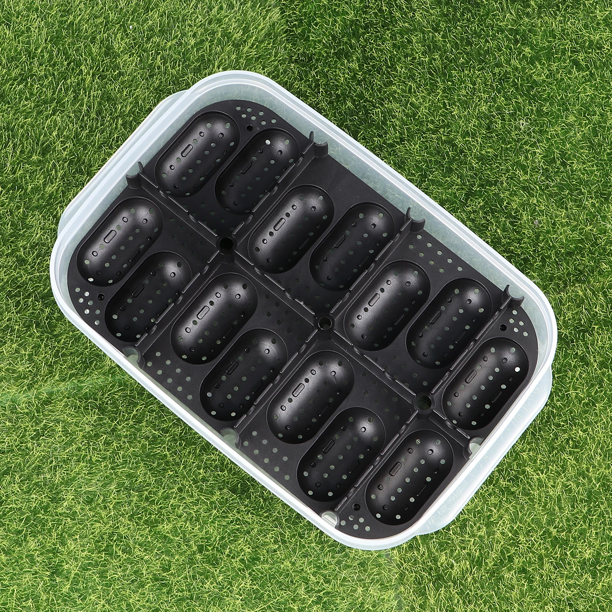 

Transparent Durable Plastic Hatching For Reptiles Breeding Incubator Easy Clean Suitable Home Store Use Gecko Turtle Snake