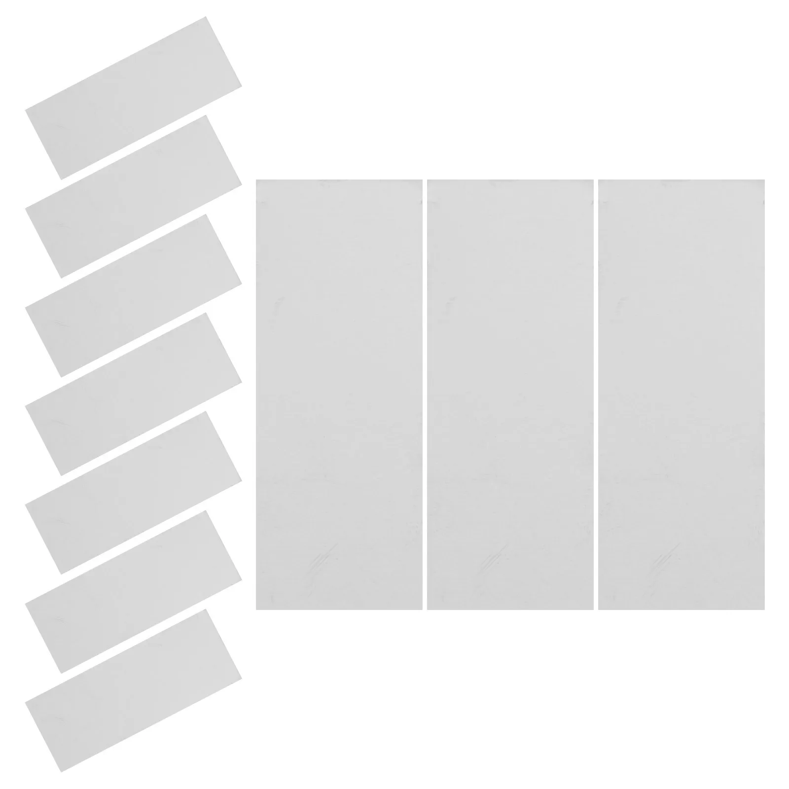 Feuilles d'expérimentation de fruits, 10 pièces, matériel de projet scientifique, fournitures d'expérimentation d'enseignement pour l'apprentissage