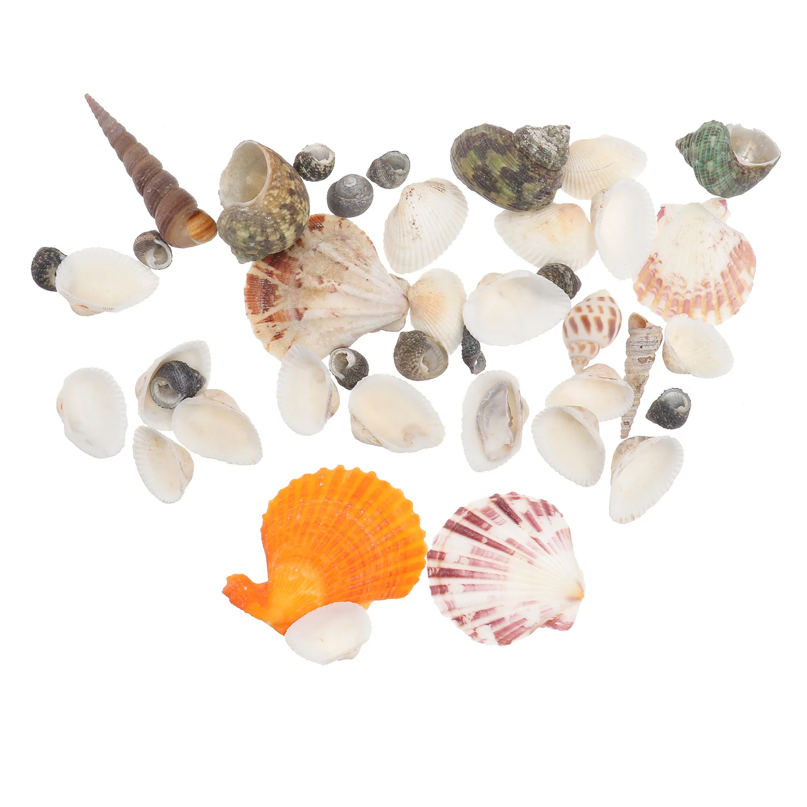 

2pcs 2 Bags Seashell Decor For Fish Tank Aquarium Landscaping Home Decoration Craft Vase Filler Bonsai Ornament Pet Supplies