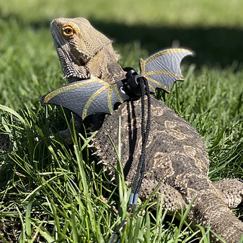 A9LB Adjustable Bearded Dragon Harness Set Lizard Leash with Wing 3pcs Vest for Reptiles Small Animals Halloween Costume