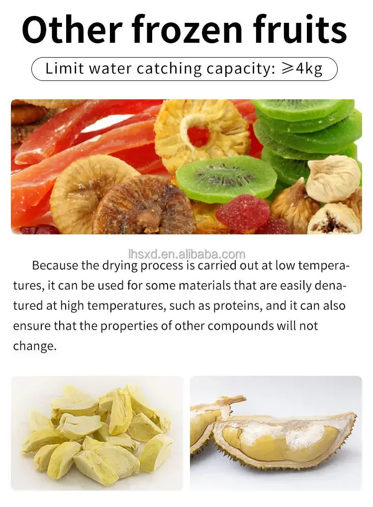 Petite machine de lyophilisation des aliments pour animaux domestiques