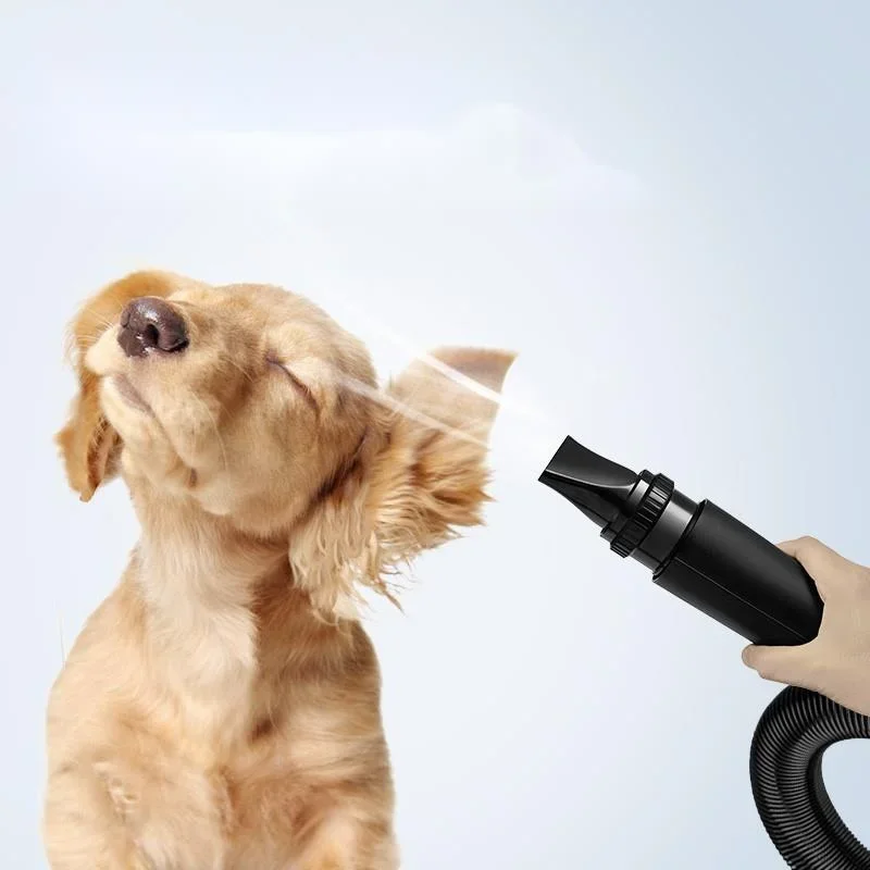 Universal Hair Dryer for Cats Dogs Constant Temperature Strong Wind Silent Drying Machine 3-Speed Adjustment Pet Grooming