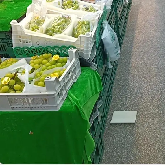 

Collapsible Basket Multifunctional Fruit Vegetable Storage Container Portable Grocery Box Breathable Mesh Design Sturdy Material