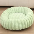  fruit green
