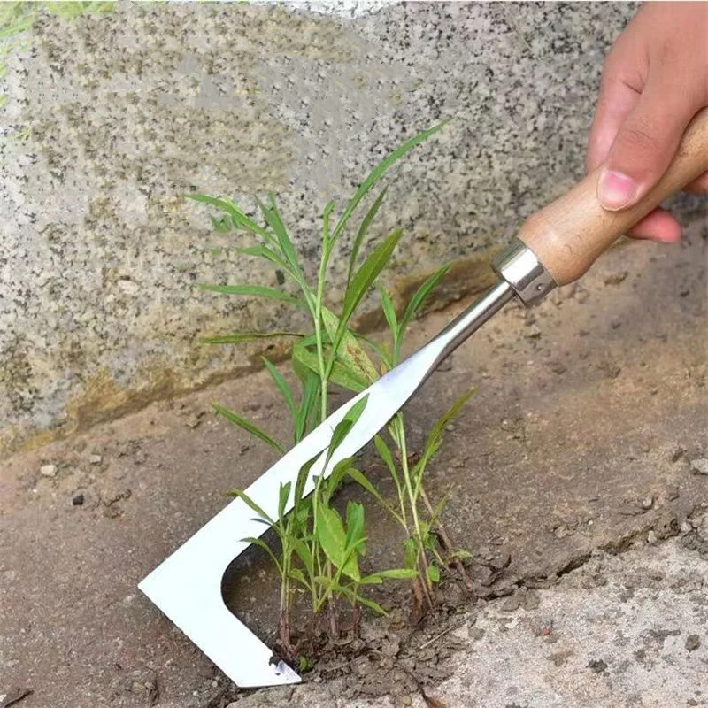 Crack Weeder Crevice Weeding Tool Stainless Steel Manual Weeder Beech Handle Gardening Tool