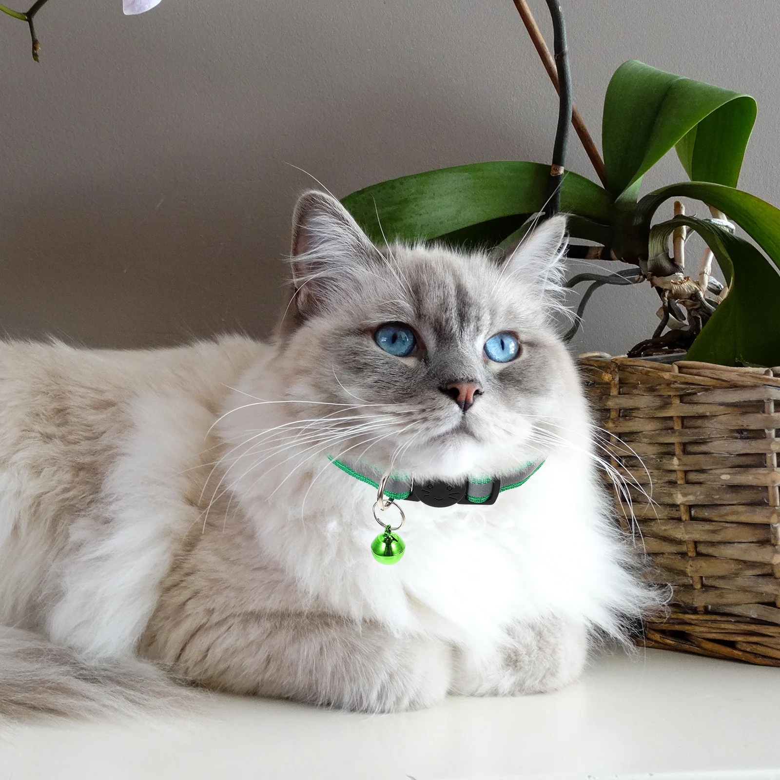 

Cat Head Safety Buckle Collar Pet Bell Reflective Kitten Collars Durable Reusable Cat Accessory Male Female Party Occasions