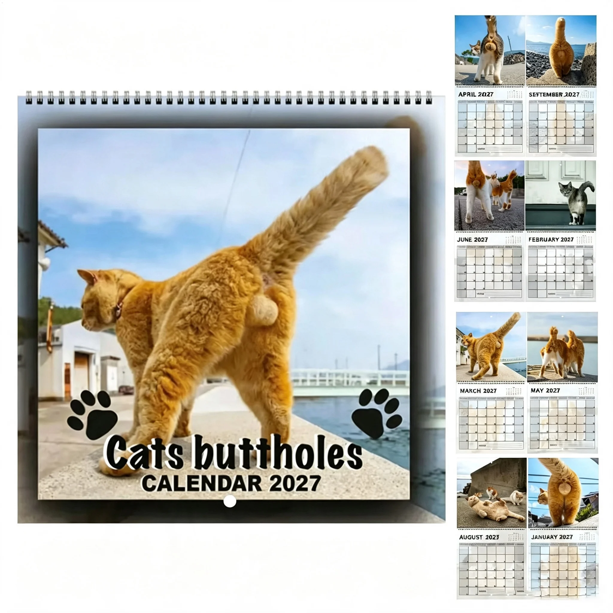 Novelty 2027 Funny Cat Hanging Wall Calendar 12 Month Monthly Schedule Planner With Notes Area Funny Cat Art Decor Gag Gift Idea