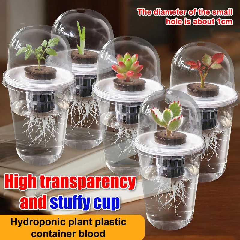 1/3Sets Plastic Material Hydroponic Seed Planter Pots Reusable Seedling Baskets Transparent Root View Cups Succulents Growing