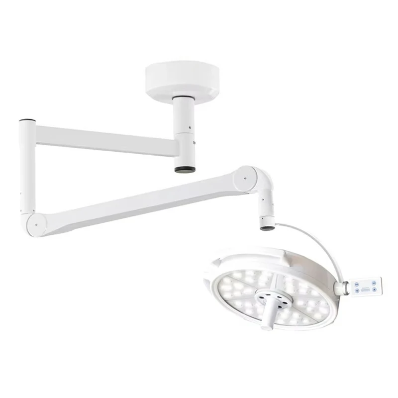 

Professional Surgical Led Operating Lighting Reliable Medical Wall-mounted Surgical Light for Animal Care and Supplies