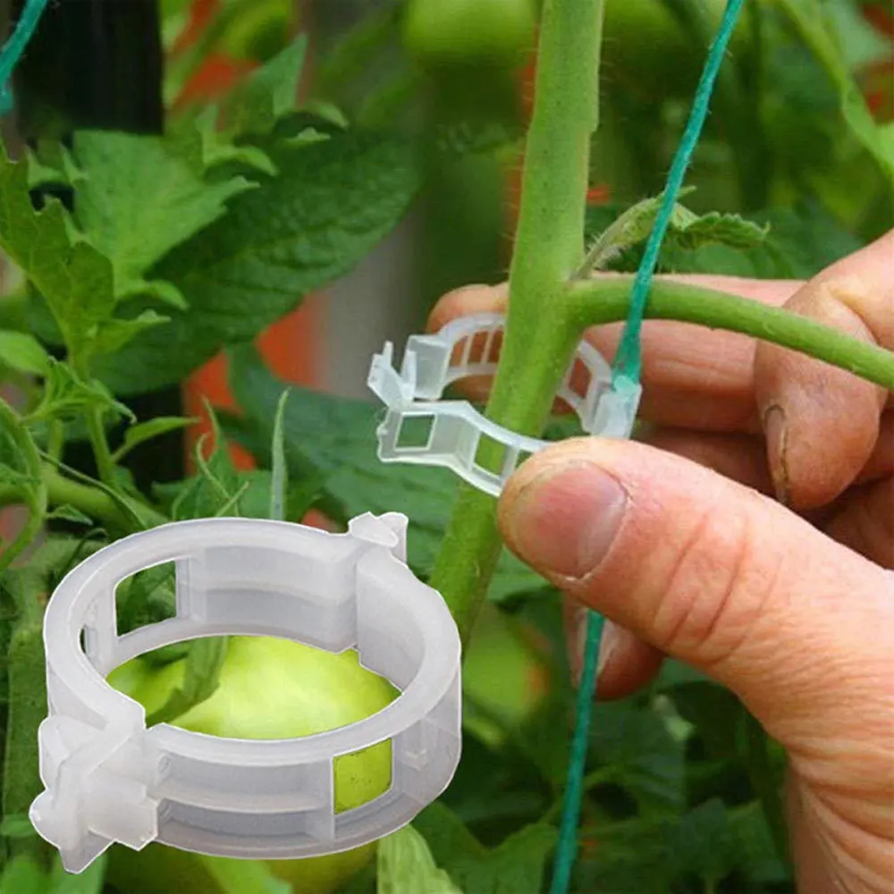 Clips de soporte para plantas vegetales, lazos de invernadero de tomate, estaca enrejada de jardín