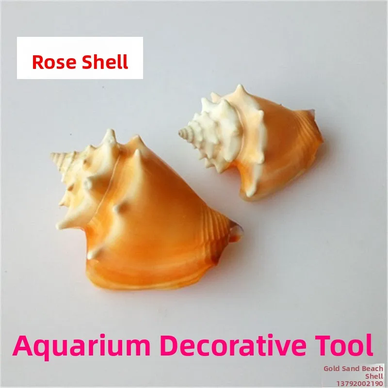 

l Pink Seaell Fi Tank Aquarium Decoration Средиземноморский домашний декор ell Fi Креативные аксессуары для дома