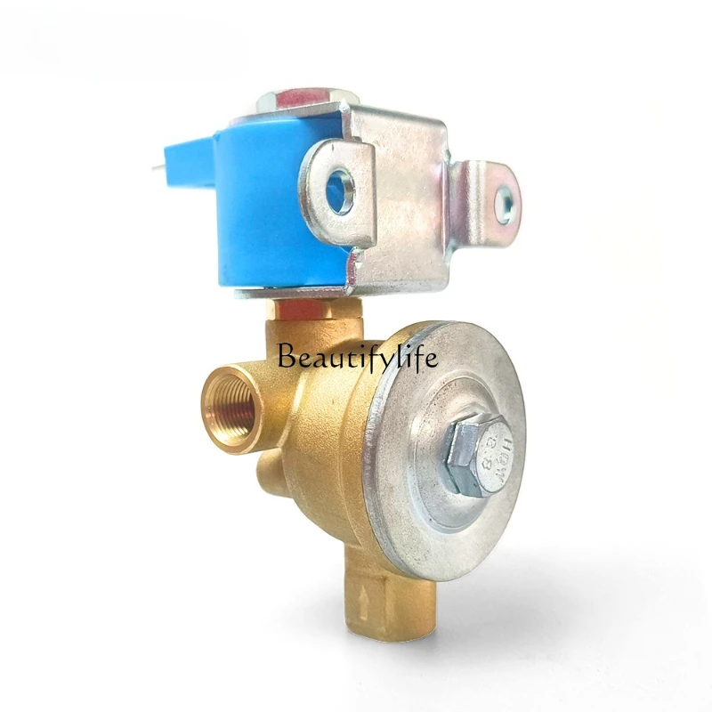 

Cut-off 6mm solenoid valve globe valve oil to gas modified gas valve