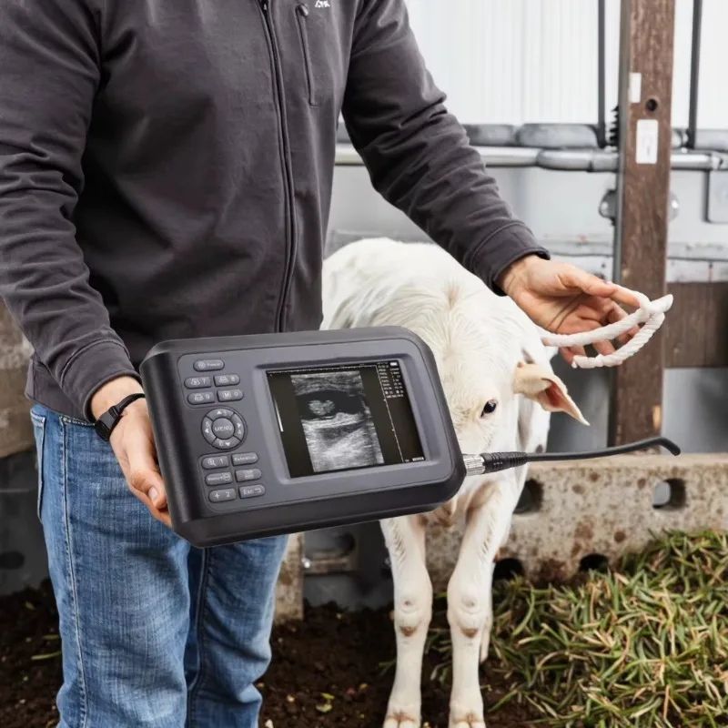

Handheld Veterinary Ultrasound Machine Cow Cattle Vets Ultrasound Scanner Animal Care and Supplies