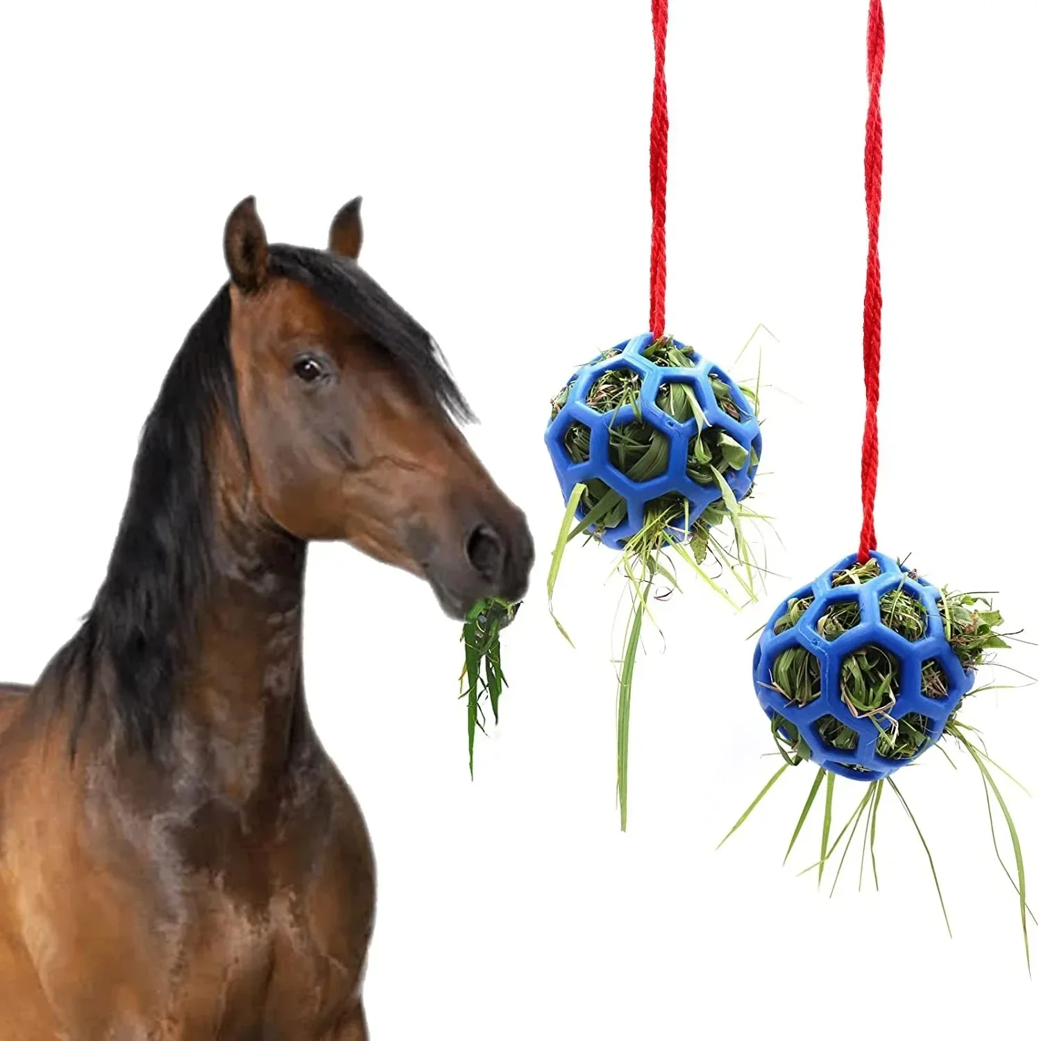 The stable hangs hay feeder toy balls to feed stretch-resistant balls.