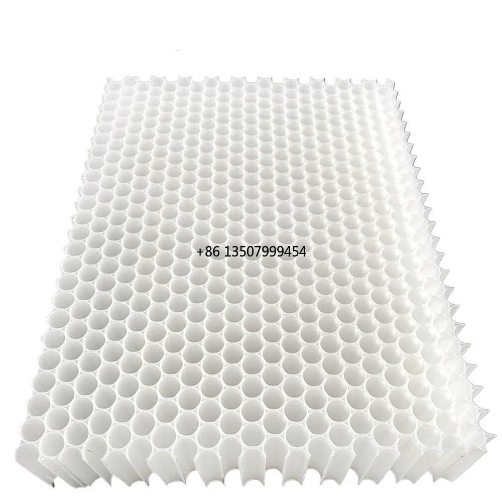 

8mm Cell Diameter Plastic PP Honeycomb Core Open for Air Purifier Filter