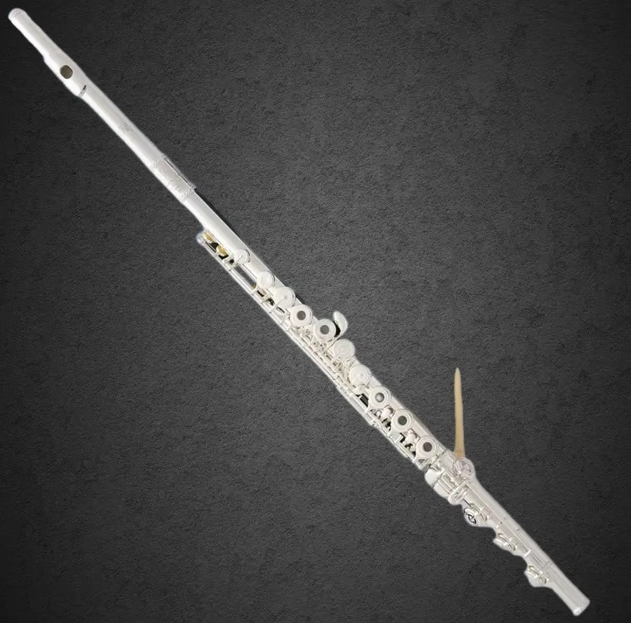 

Профессиональная флейта C-тона с серебряным покрытием, B-флейта, 17 отверстий, раздельные клапаны E, итальянские колодки, новая, 2026 год, 18