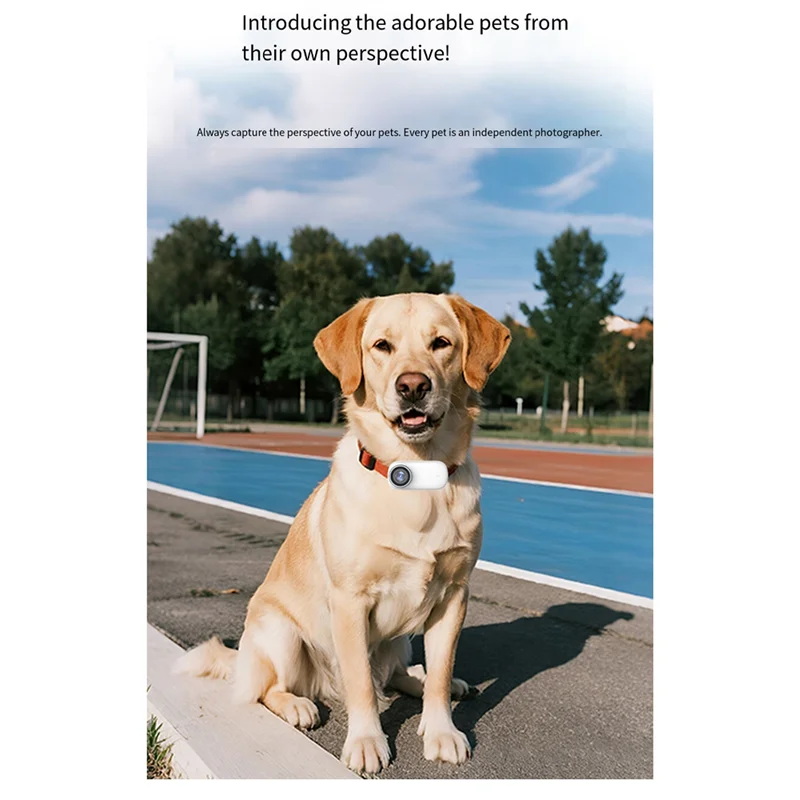 B24B Mini Wifi 4K كاميرا الإبهام الرياضة في الهواء الطلق مراقبة الحيوانات الأليفة عدسة واسعة الزاوية للدراجات النارية-خوذة لكلب القط #6