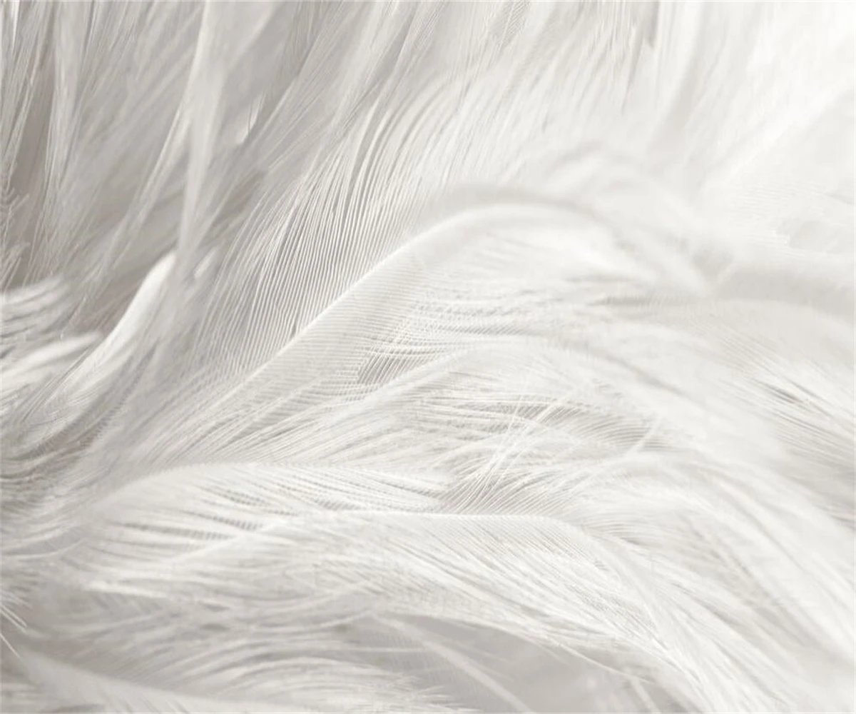 

Custom Mural Wallpaper White and Color feather painting Living Room Bedroom Home Decor Backdrop Wall Modern Wallpaper обои