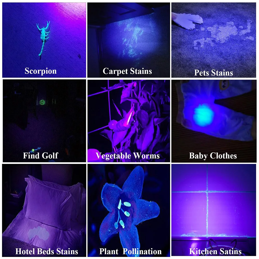 365nm UV Flashlight Ultra Violet BlackLight Banknote Jade Money Inspection Torch Curing Colloidal Pet Moss Cat Stains Detector