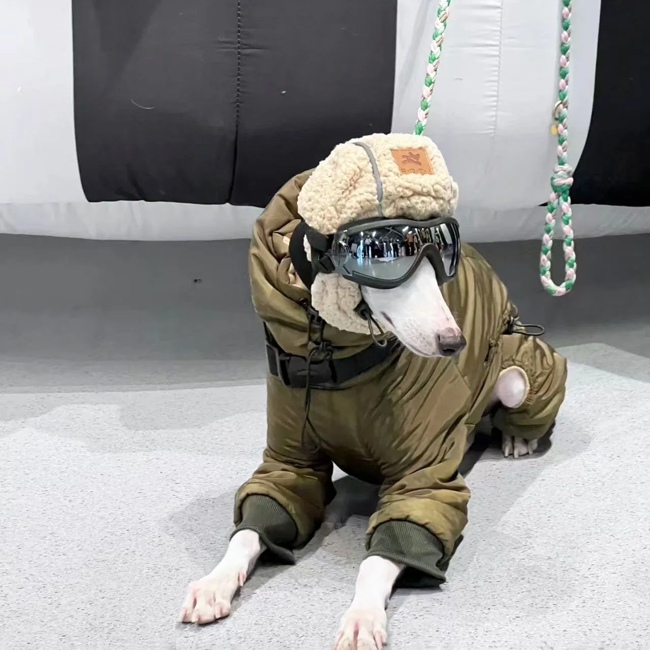 Winter Super-thick Whippet Army Green Clothes Quilted Turtle Collar Dog Coat Warm Italian Greyhound Adjustable Cotton Jacket