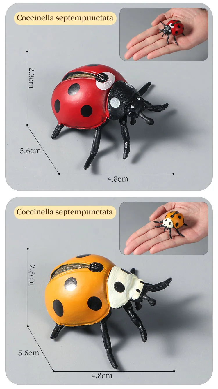 Pädagogisches Insekten-Tiere-Modell-Spielzeug-Set mit Schmetterling, Biene, Libelle, Mantis, Ameise, Schnecke, Actionfiguren für Kinder, Sammlung, Dekoration – Detail 8