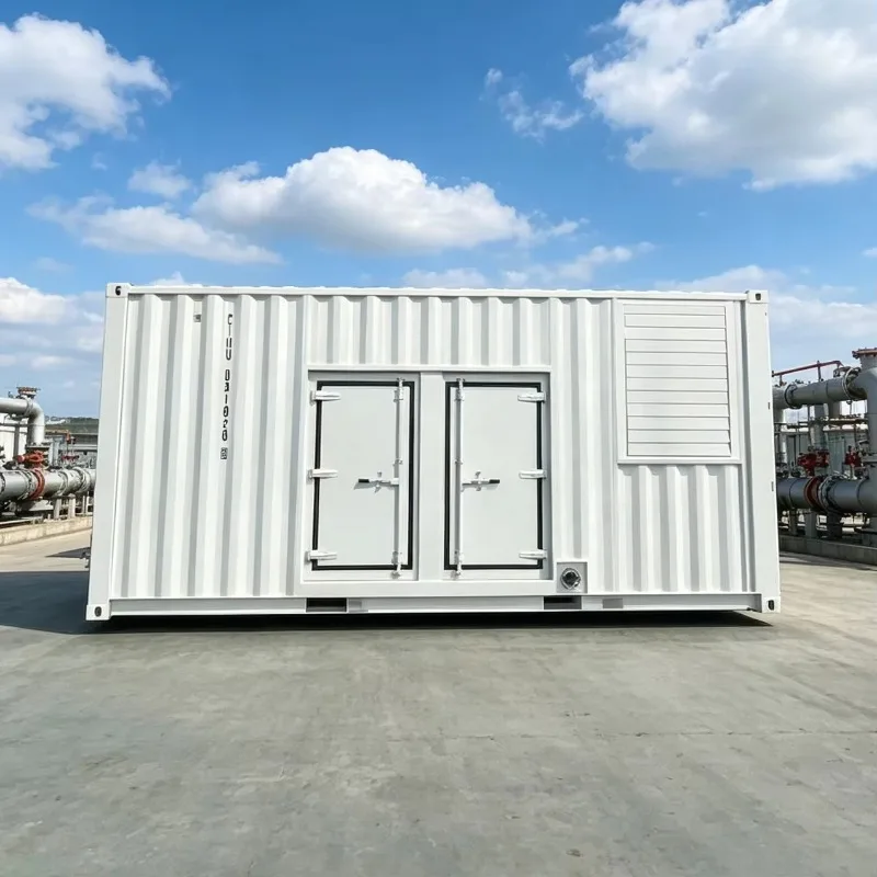 Silent Soundproof Container Baudouin Gas Generator 500kW 800kW 1000kVA Natural Gas Biogas LPG CNG LNG Power Genset Customized