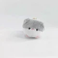 gray white hamster