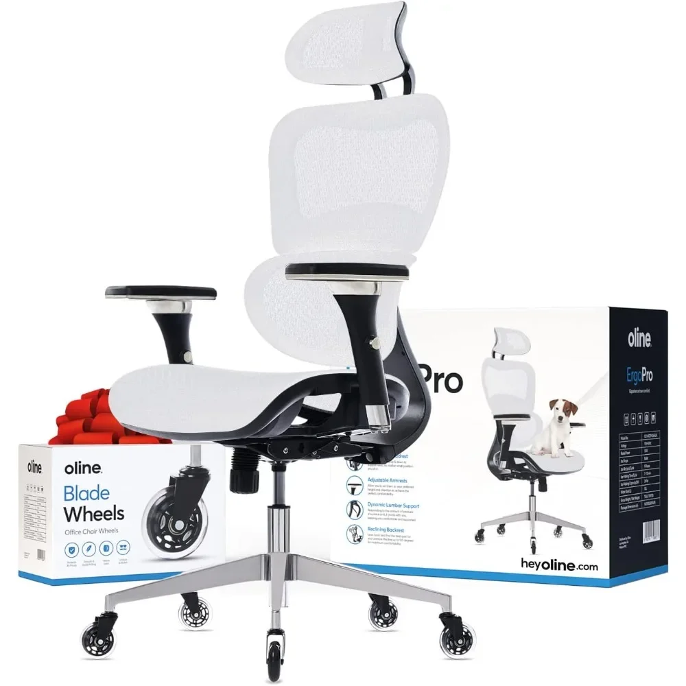 ErgoPro Ergonomic Office Chair - Rolling Desk Chair with 4D Adjustable Armrest, 3D Lumbar Support and Blade Wheels