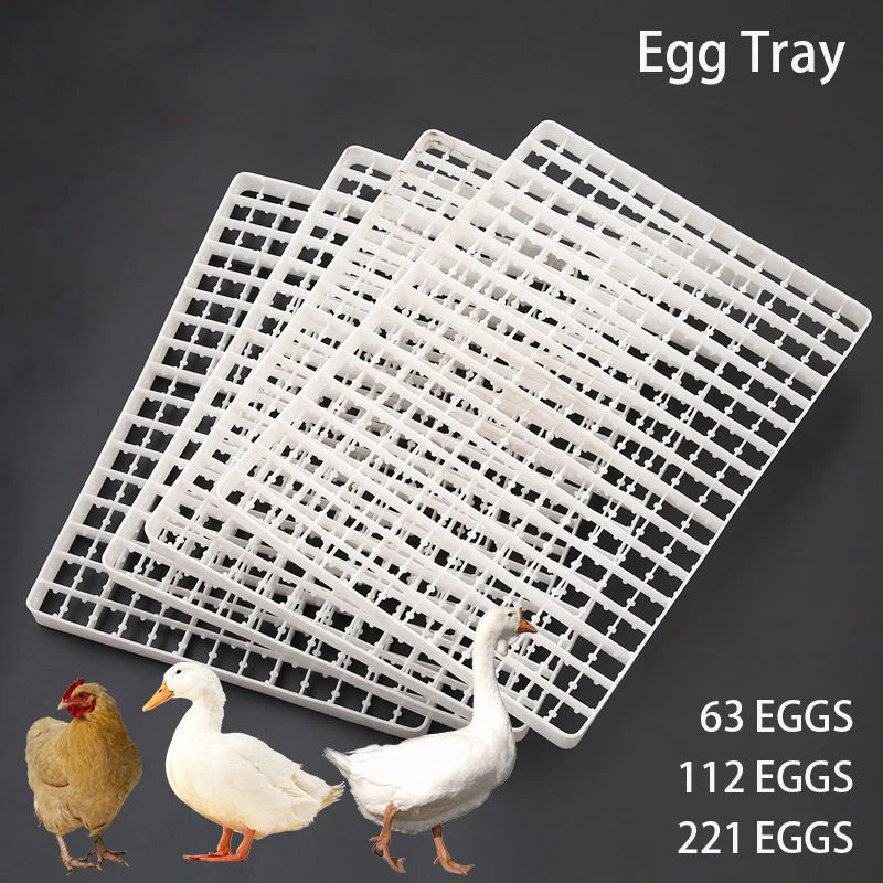 1Pcs Egg Tray For Incubator Automatic Goose Pigeons Duck Quail Egg China Incubadora Parts Poultry Farming Accessories Supplies