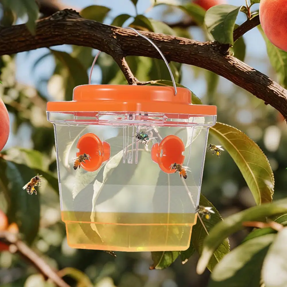 1/3pcs Large Wasp Traps Reusable Insect Trap Hanging Hornets Trap for Indoor Outdoor Garden Fruit Fly Catcher Pest Control Tools