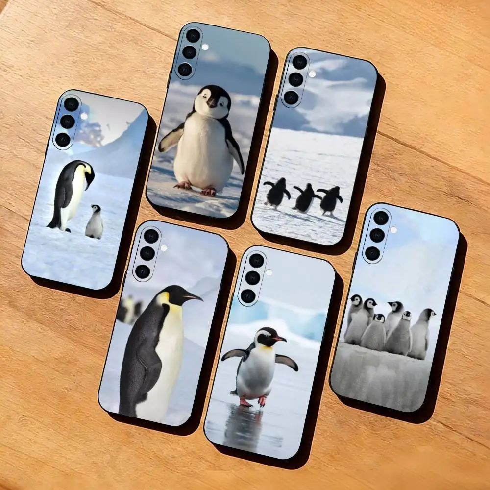 Cute and funny penguins  Phone Case Black Silicone Soft For Samsung Galaxy A73,A72,A71,A70,A53,A52,A51