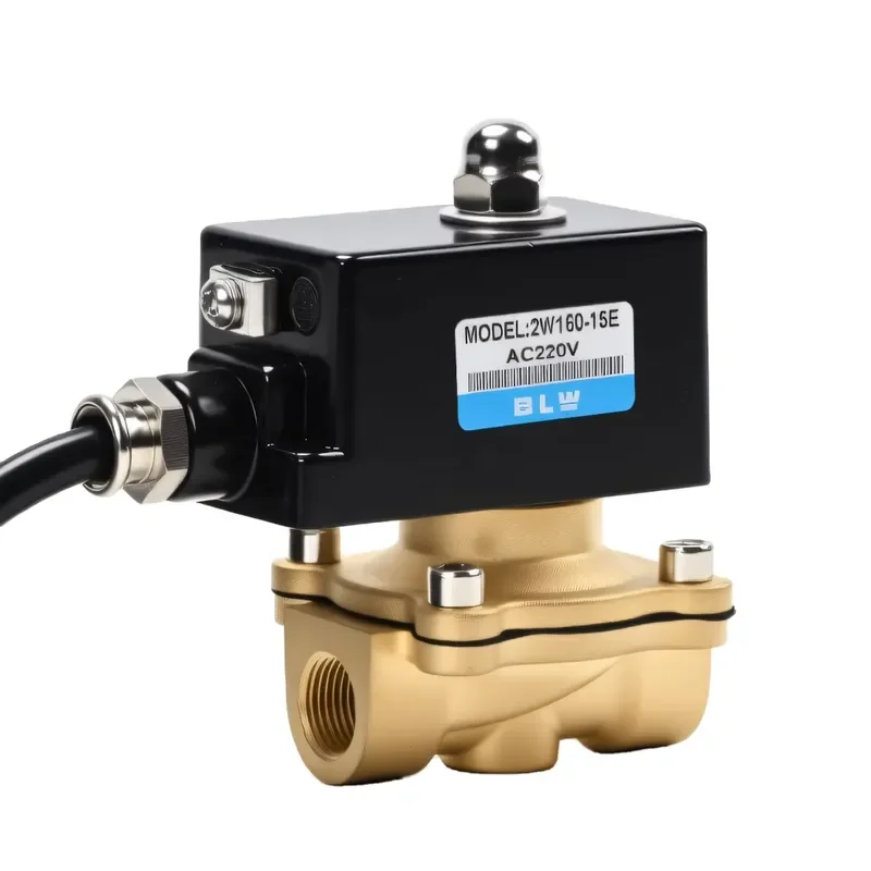 Explosion-Proof Solenoid Valve With IP67 Coil 2W160-15E Brass Valves AC220V,380V,1110, Used for Air, Water, Oil