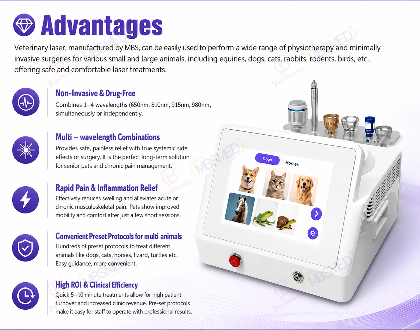 980nm 810nm Multi-Wavelength LLLT Laser Therapy Device For Vet Pain Relief Inflammation Reduction