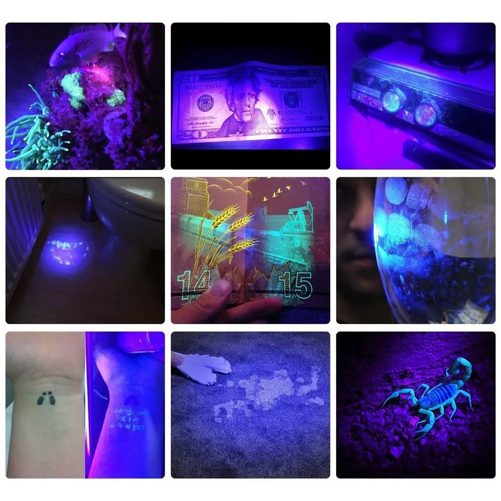 Zoom UV-LED-Taschenlampe, 365 nm, 395 nm, unsichtbare Tinte, Marker, Katze, Hund, Urin, Tinea, Erz, Geld, Skorpion, Fluoreszenzlicht, Verwendung AAA 18650 – Detail 14