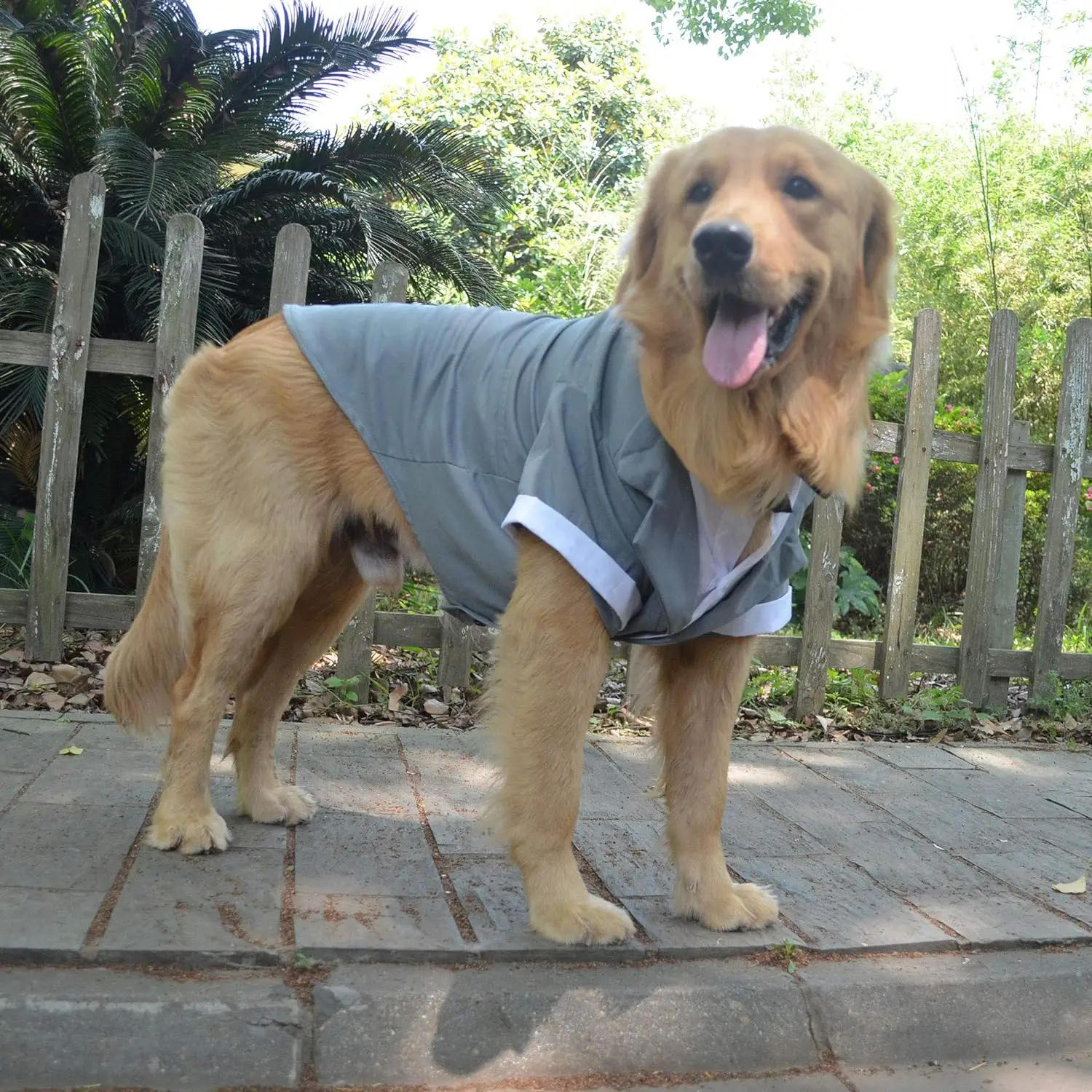 Formal Tuxedo Suit with Black Bow Tie for Large Dogs, Pet Costume, Golden Retriever