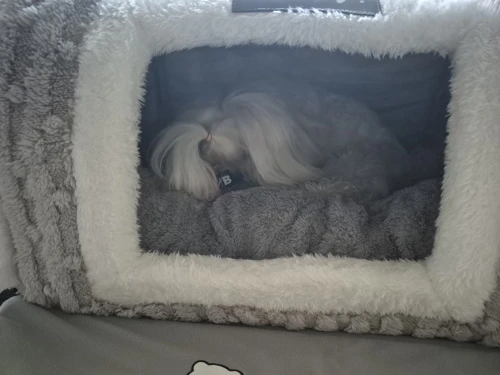 Hundehütte für drinnen, weiches, gemütliches Haustier-Schlafbett mit Loch, abnehmbare warme Katzenhütte, rutschfeste Matte für Kätzchen, Welpen, Haustier-Winterbedarf – Detail 14