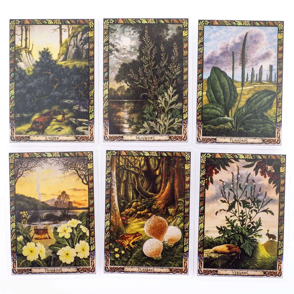 The Druid Plant Oracle 39-Card Deck Magical Flora of The Druid Tradition Beautiful Illustrations Divination Board Game