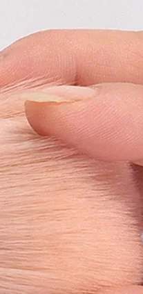 1PCS Nail Art Brush Art Dust Brush for Manicure Beauty Brush Blush Powder Brushes Fashion Gel Nail Accessories Nail Pretty Tools