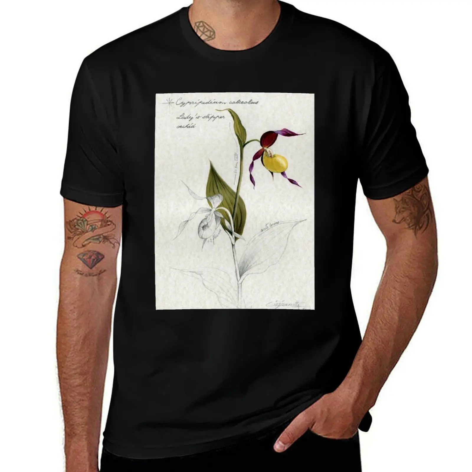 Cypripedium calceolus - Lady's slipper orchid T-Shirt Everyday Wear Basic Short Sleeve Top