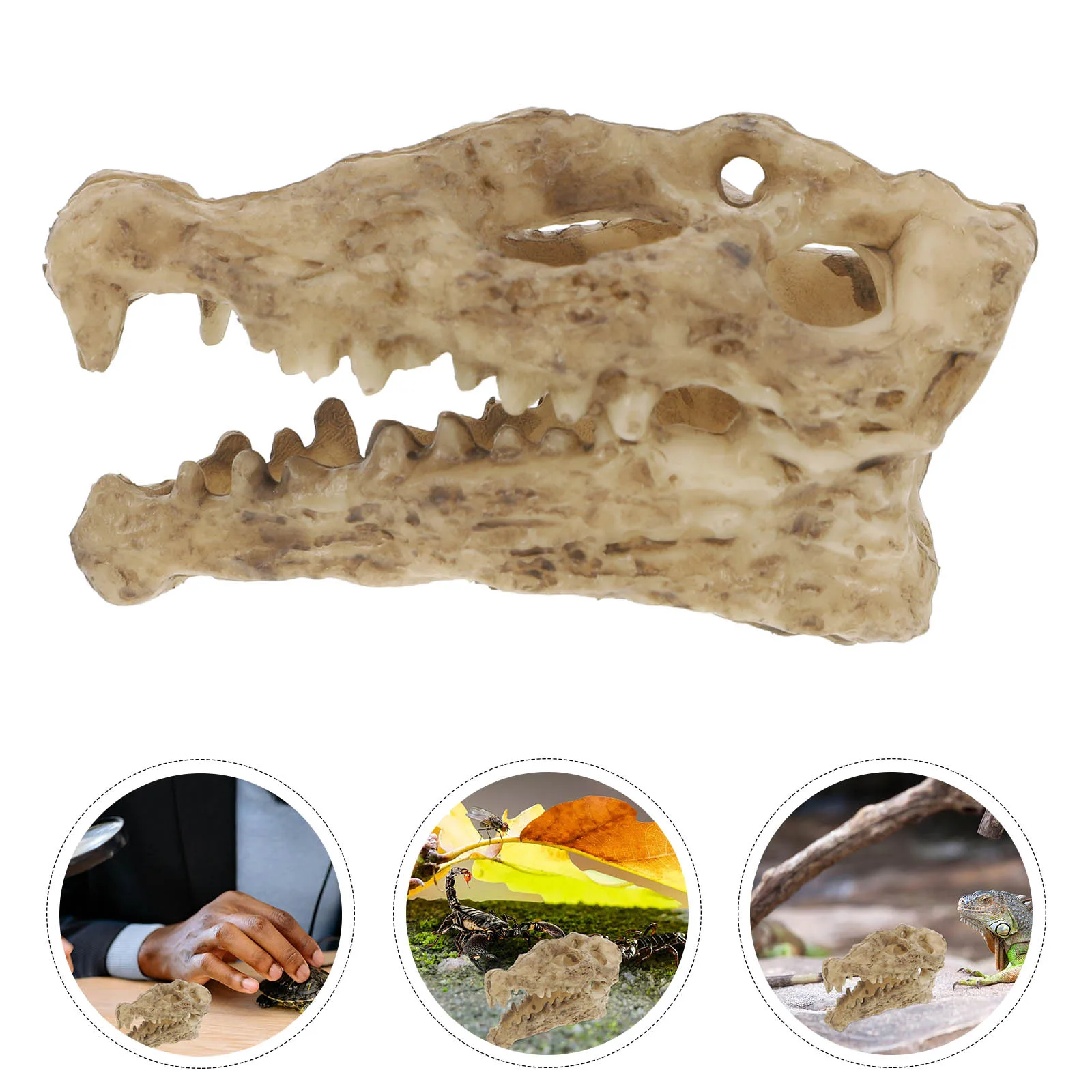 

Multipurpose Resin Reptile Box Aquarium Terrarium Decor Gecko Accessories Bearded Dragon Cage Scorpion Habitat Safe Durable Easy