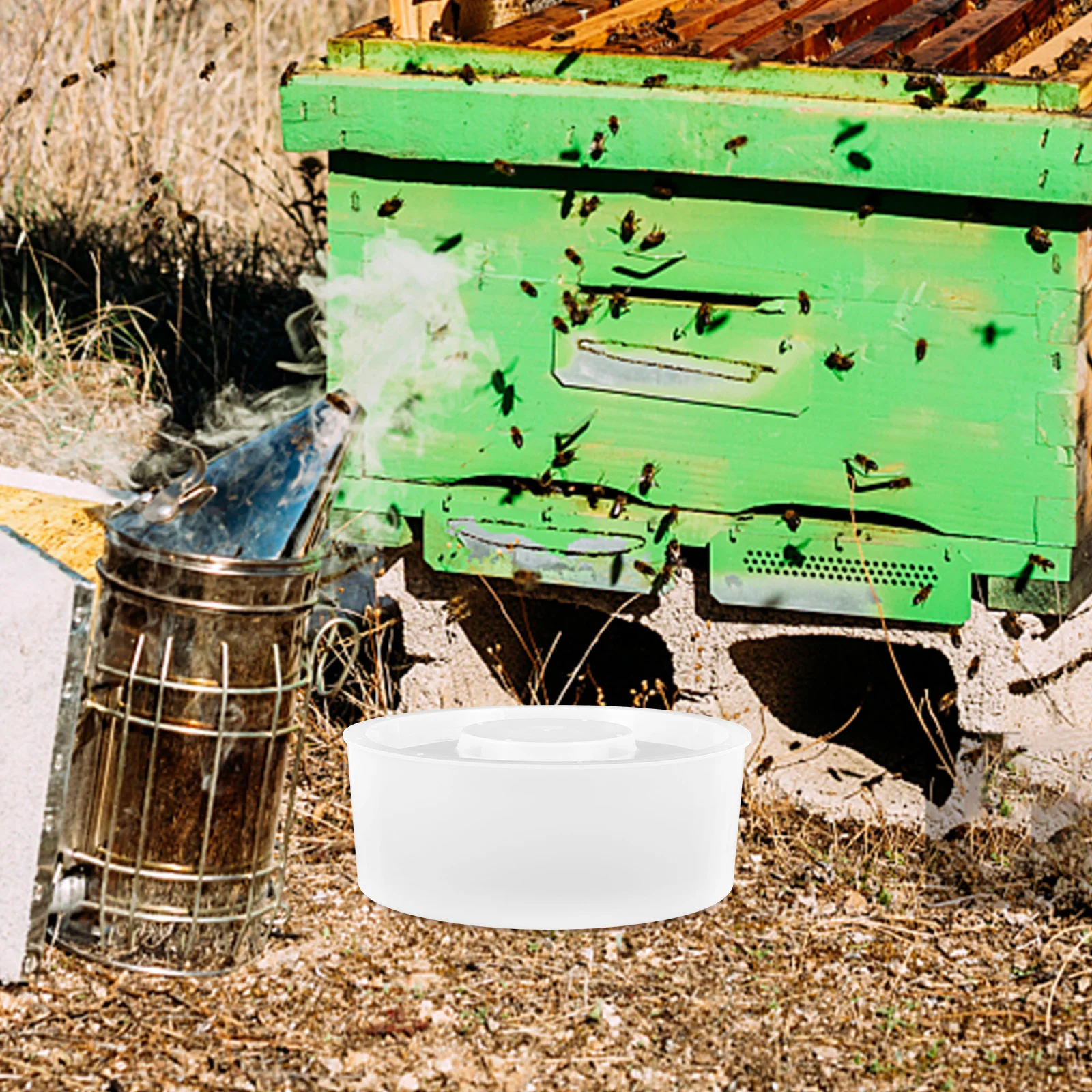 

2Pcs Tough PP Material Bee Feeder Convenient for Bees Drink Durable Efficient Beekeeping Bee Feeder Beekeeping Supplies