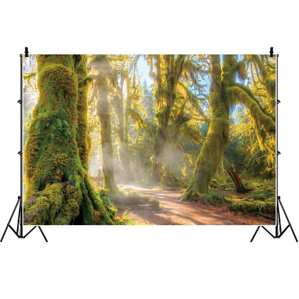 الغابة الغابات خلفيات للتصوير الفوتوغرافي الغابات المطيرة الاستوائية المناظر الطبيعية التخييم تحت عنوان استحمام الطفل الاطفال الكبار خلفية الزفاف