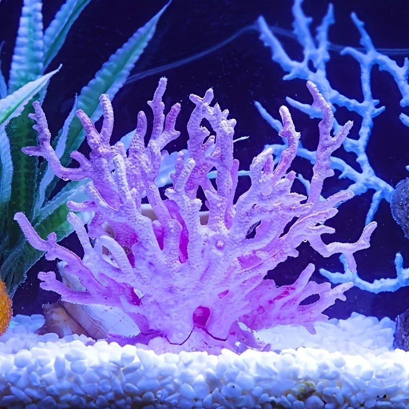 Thumbnail 3 - #22 Most Popular Decorative Aquarium Plants